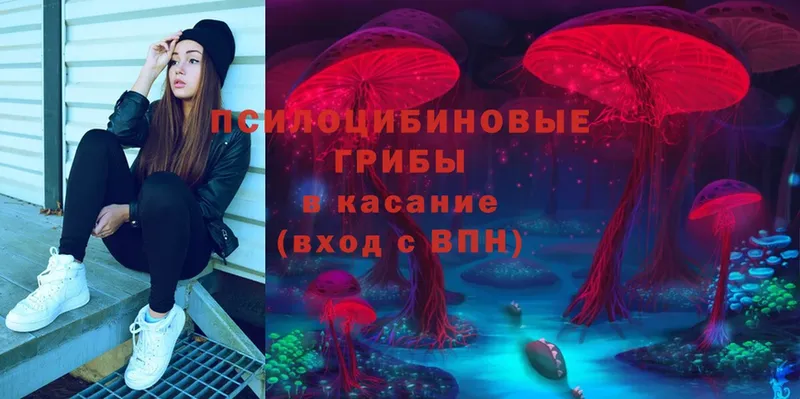 Псилоцибиновые грибы MAGIC MUSHROOMS  Шуя 